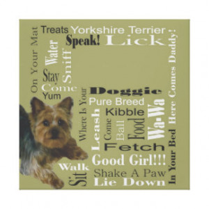 Yorkshire Terrier Gallery Wrap Canvas
