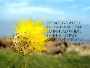 Do Not Go Where The Path May Lead, Go Instead Where There Is No Path ...