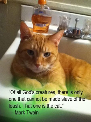 ... secretly a Crazy Cat Man, he has all these famous quotes about cats