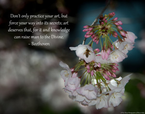 only practice your art ~ Beethoven This is one of two Beethoven quotes ...