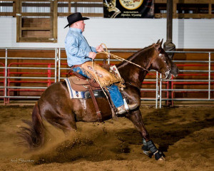 Ron and Skeets San Peppy showing in Open Cow Boxing at Ohio Reined Cow ...