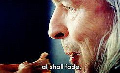 ... the king The Lord of the Rings Faramir Denethor our gifs Pippin Elise