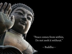 Buddhist Quotes On Peace Husband decided to do some