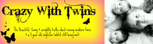 with twins the beautiful funny unsightly truths about raising twins ...