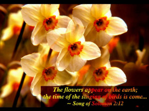 ... Verses Scenic Reflections 3.0 : Spring with Bible Verses-Sample screen