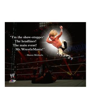 ... Quotes Canvas, Pro Wrestling Quotes, Pro Quotes, Wwe Quotes, Shawn