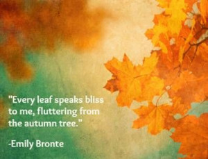 Every leaf speaks bliss to me, fluttering from the autumn tree. -Emily ...