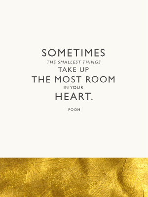 sometimes-the-smallest-things-take-up-the-most-room-in-your-heart