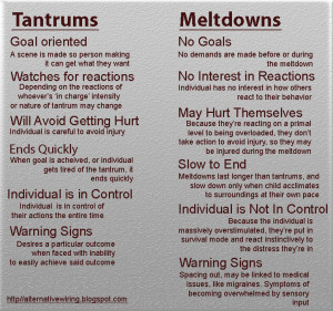 Temper tantrums and SPD meltdowns are fundamentally