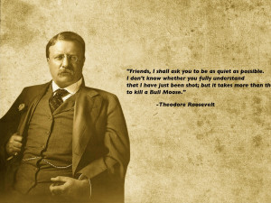 quotes presidents theodore roosevelt 1680x1050 wallpaper Art HD ...
