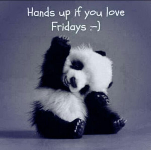 ... , Friday Funny, Pandas Bears, Friday Quotes, Weekend Quotes, Tgif