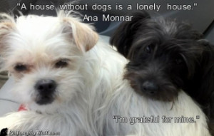 Comment on this PhilosophyWall