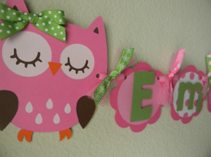 Owl Birthday Party Name and Age Banner - Pink and Green