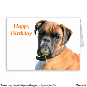 Happy Birthday Boxer Dog Images Boxer dog beautiful photo