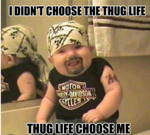 Thug Life Quotes Funny When thug life chooses you.