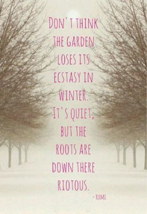 true i love gardens in winter no weeds to pull just enjoy the ...
