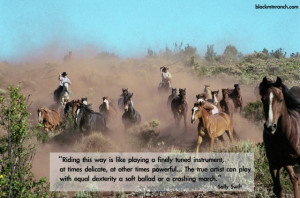 Quotes Wild Horses http://blackmtnranch.com/horse-quotes/