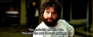 alan the hangover quotes