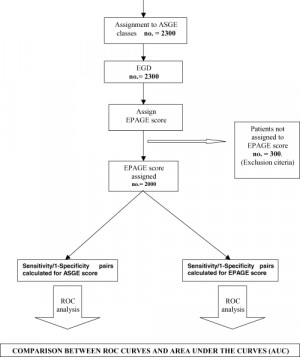 Digestive System Flow Chart