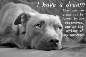 The Truth About Pit Bulls