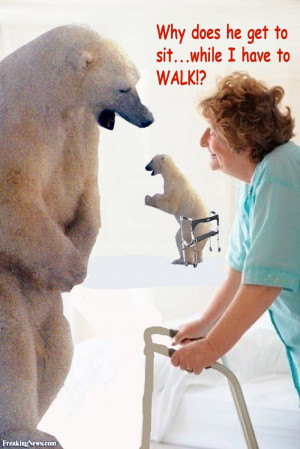 Funny Polar Bear Care Givers