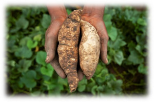 Famous Quotes Community For Cacscma Picture