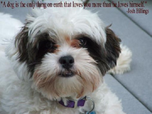 Quote about Dogs
