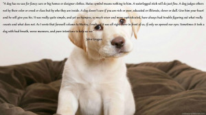 John Grogan quote (Marley and Me)