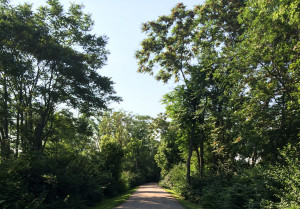 Go ahead, leave your comment, don't be afraid!! Discussions are ...