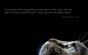 ... by quotes pictures in 2560x1600 arnold edinborough quotes pictures