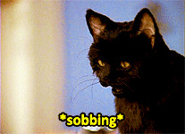 mine Nickelodeon Sabrina the teenage witch salem sabrina lmfao same