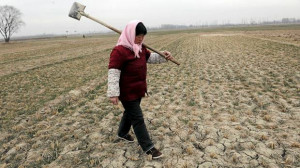 China Drought17rb1jpg