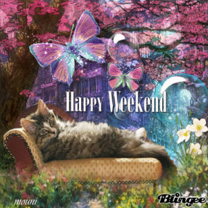 ... weekend to all my friends love mouni tags cat happy spring weekend