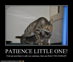 funny pictures - PATIENCE LITTLE ONE!
