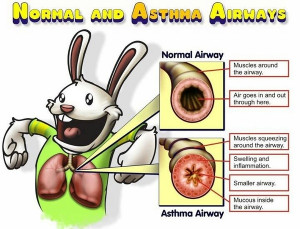 Leave a Comment Cancel reply