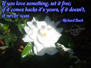 If You Love Something,set It Free ~ Flirt Quote