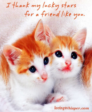 thank my lucky stars for a friend like you ~ Friendship Quote