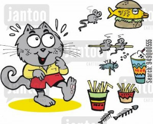 animal-kingdom-unhealthy_food-cat-feline-felis_catus-fast_food ...