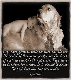 Showing Love by Writing Cute Quotes about Dogs | love story | 4.5