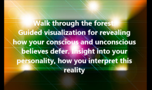 Bashar – Guided Visualization – Walk Through the Forest