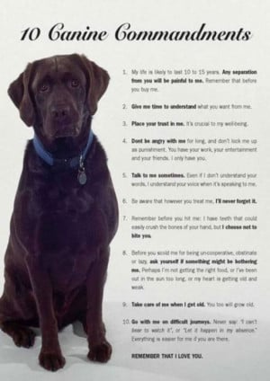 The 10 Canine Commandments
