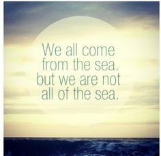 Chasing mavericks :) this is my quote and all of the others that are ...