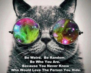 Photo 73015 of 111907 Previous Next