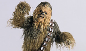 Chewbacca the Wookiee Peter Mayhew