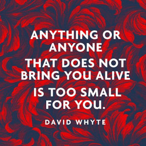 Anything or anyone that does not bring you alive is too small for you ...