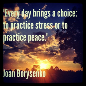 Peace? Or Stress? Your choice.