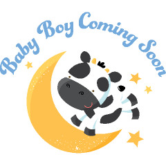 Baby Boy Coming Soon Baby boy cow and moon