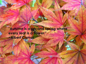 Autumn Is A Second Spring When Every Leaf Is A Flower
