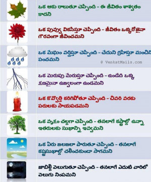 Nice Telugu Sayings | Telugu Quotations | Proverbs in Telugu