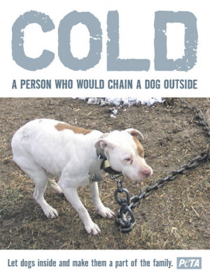 ... : Pitbull Dog Quotes And Sayings , Pitbull Dog Quotes Tumblr